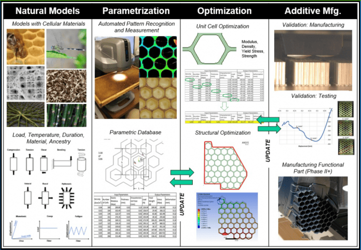 12723904-summary-of-cellular-geometries-in-nature-and-3d-printing