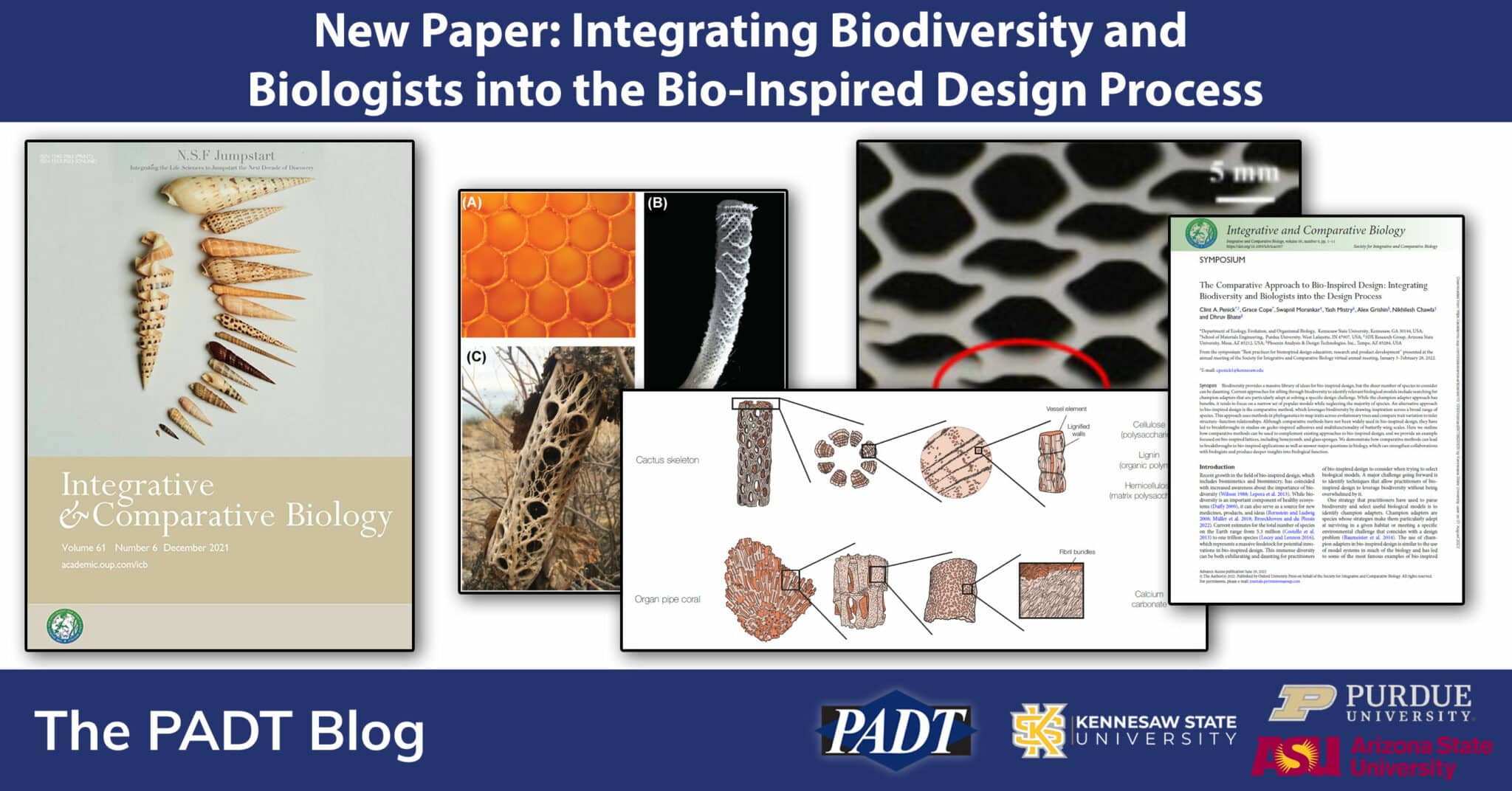 PADT NASA STTR Bio-Inspired Design Paper
